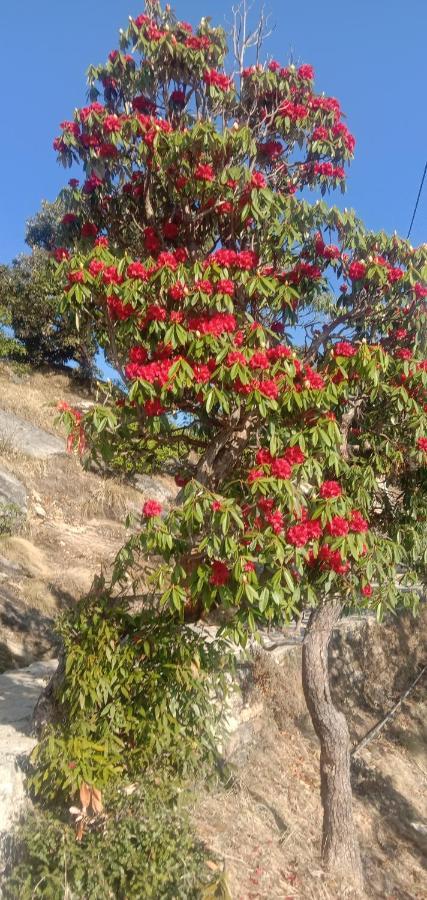 Chandarshila Hike Homestay Ukhimath Exterior photo
