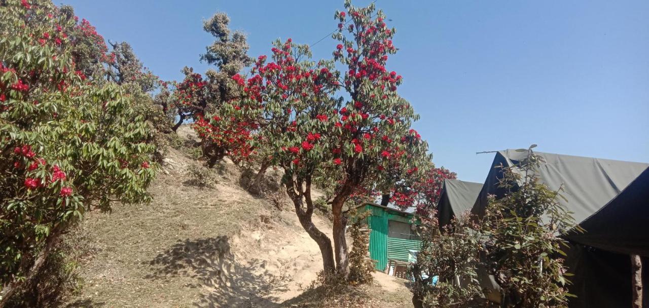 Chandarshila Hike Homestay Ukhimath Exterior photo